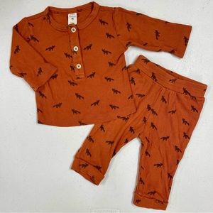 Kate Quinn 2-Piece Set Boys 6-12M Tiny Fox Henley Shirt Pants Ribbed Organic
